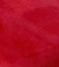 红绒布面色.png